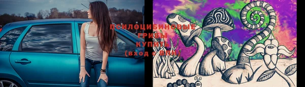 дживик Алзамай